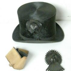 Top hat cockades Examples of top hat cockades