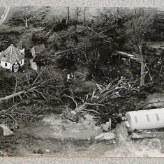 Bird House in Knole Park narrowly escaped damage