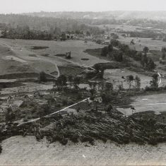 Knole park after the 1987 storm