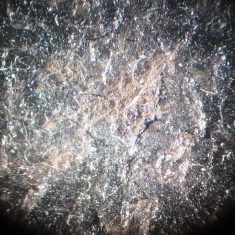 Cotton wool fibres embedded in varnish, magnified 5 times, 2013 